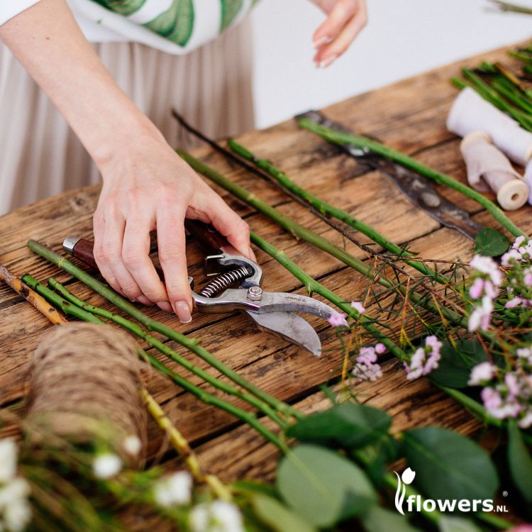 Tools for taking care of flowers