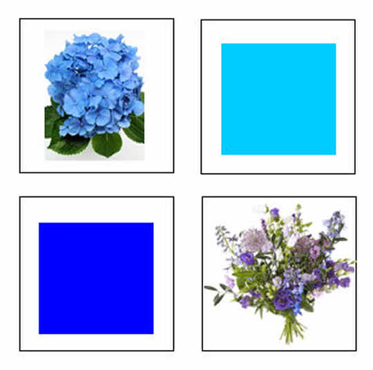 Blue shop flower bouquets