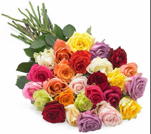 Buchete de flori K_mixed-roses