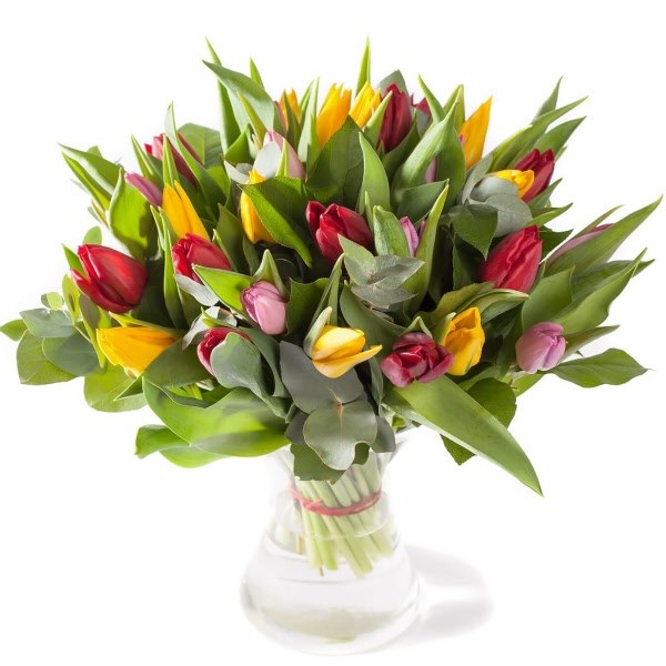 Send Flowers | Mixed tulips | Florist Netherlands Flowers.NL