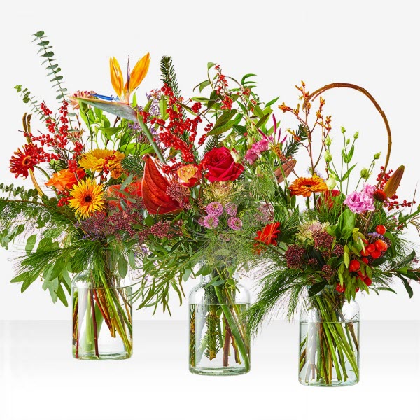 Bouquet "Winterfun" - Order & send - Flowers.NL®