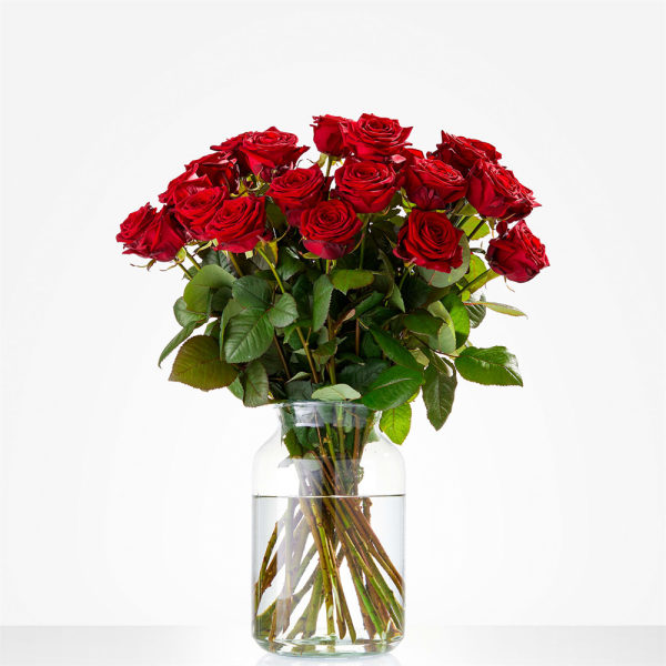 Red Roses Amsterdam Rotterdam The Hague Flowers.NL