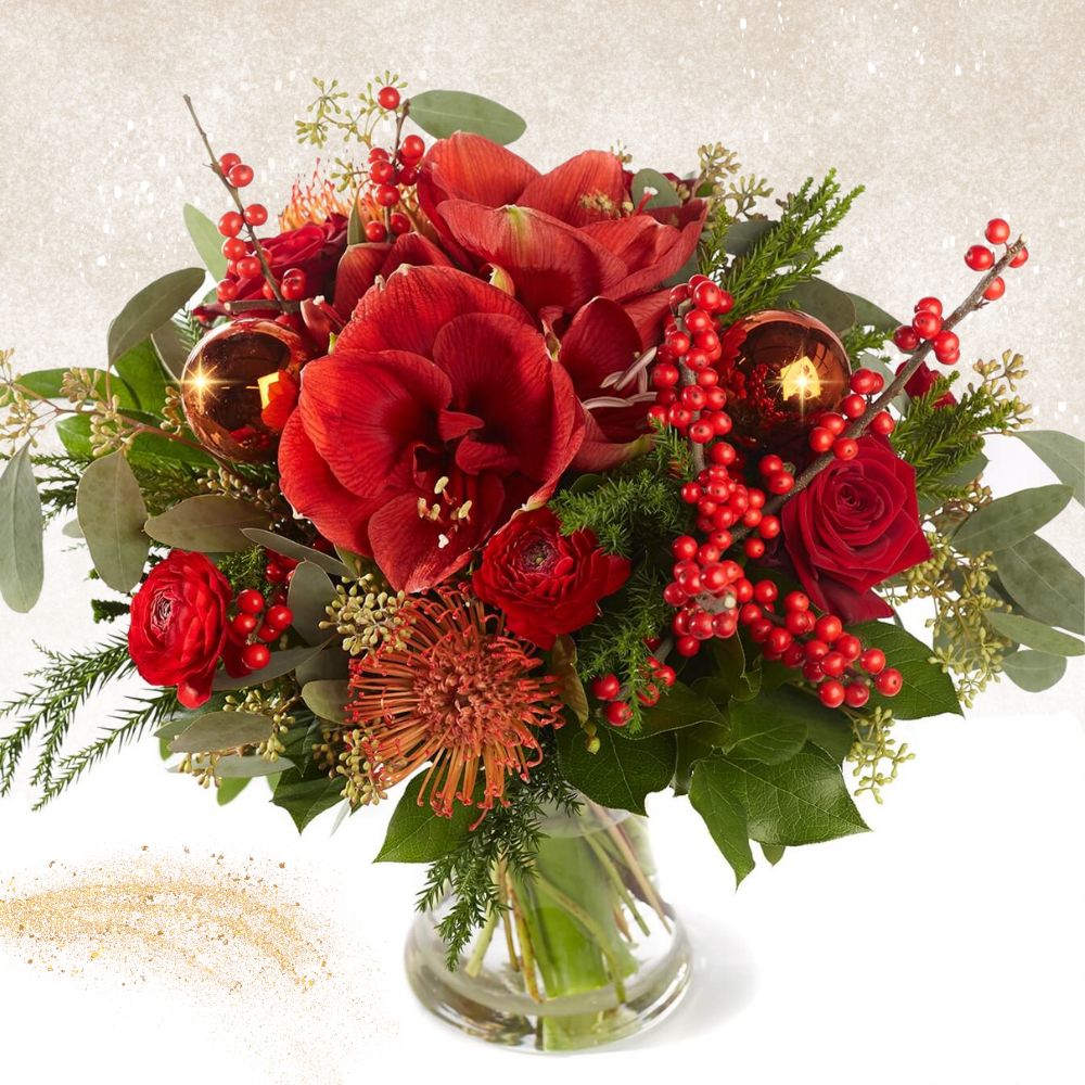 Amaryllis - Care Tips - Flowers.NL Amaryllis - Care Tips - Flowers.NL
