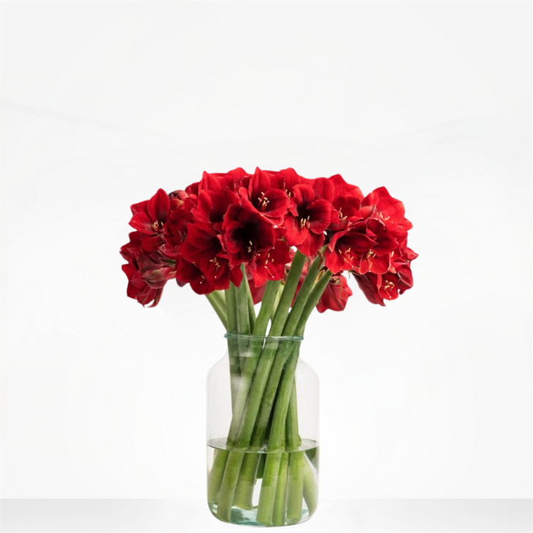 Red Amaryllis and Spray Roses Bouquet