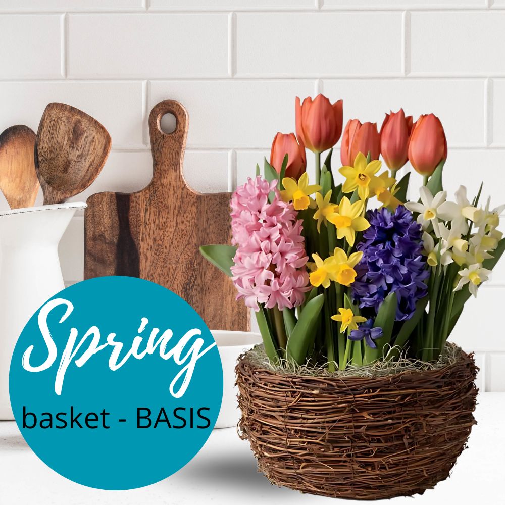 Bloembollen arrangement "Kleurrijk" - Keuze bloemist