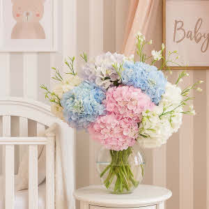 Birth bouquet Hydrangeas for new baby delivery in Son-en-Breugel