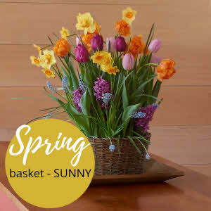 Spring bulbs planter "Colorful" - Florist Choice
