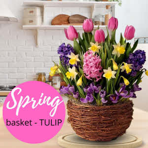 Planter "Spring" Florist Choice" - Flowers.NL®