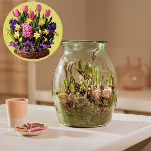 Bring Spring in the house with our Flower Bulbs in a vase