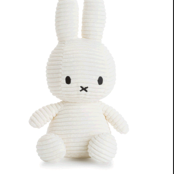 send stuffed animal and flowers