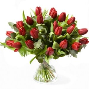 Red Tulips - Flowers.NL®