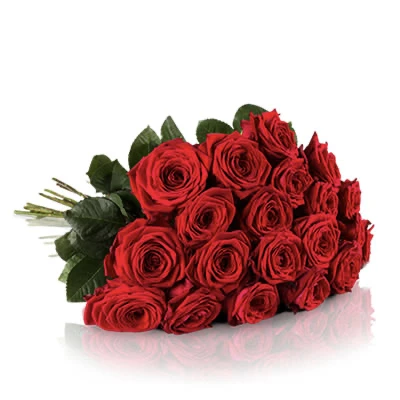 Red roses delivery Dodewaard