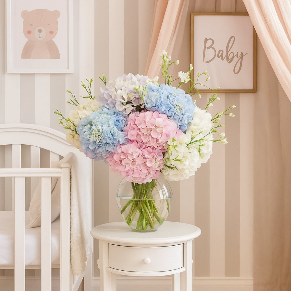 New baby flowers in Aarle-Rixtel