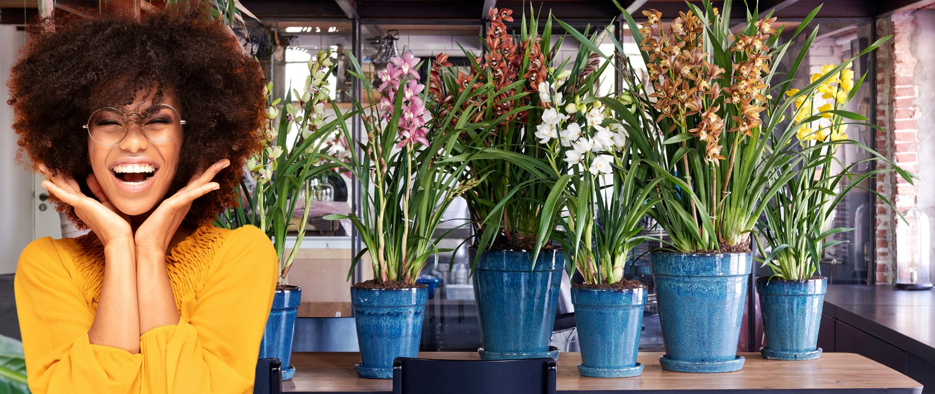 Bloeiende plant als cadeau in Zoetermeer
