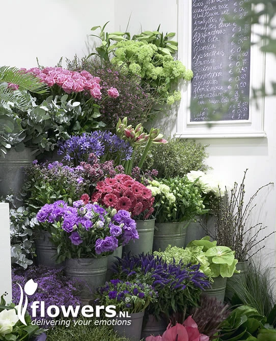 De Bloemenwinkel in Zijldijk image