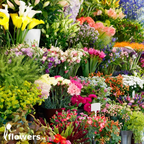 The BEST FLORIST for Beemte-Broekland image