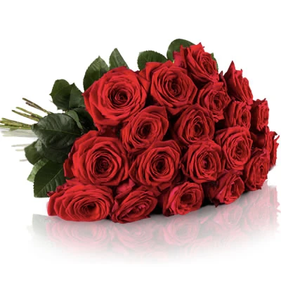Rode rozen Vlagtwedde