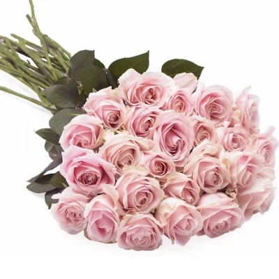 Rouwboeket Roze rozen